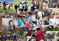 2020 Benefitting Society Winner: Universidad San Ignacio de Loyola - Peru image #3