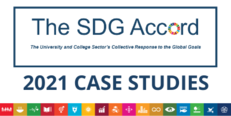 SDG Accord Report 2021 - Case Studies image #1