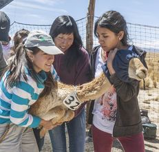 2019 Student Engagement Finalist: Universidad Nacional de Jujuy, Argentina image #3