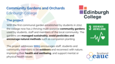 Community Gardens and Orchard - Edinburgh College image #2
