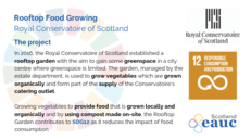 Rooftop Food Growing - Royal Conservatoire of Scotland image #2