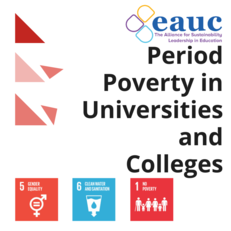 Period Poverty in Universities and Colleges image #1