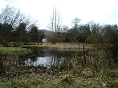 Ponds and other wetlands image #1