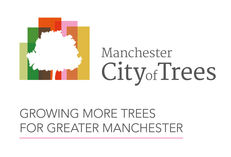 City of Trees image #1