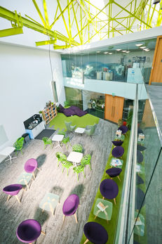 Interface creates foundation for biophilic design at Cranfield University image #4