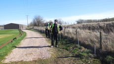 Hedges at SRUC, Elmwood Golf Course image #2