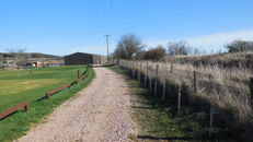 Hedges at SRUC, Elmwood Golf Course image #3