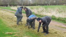 Hedges at SRUC, Elmwood Golf Course image #4