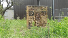 Nest boxes at SRUC, Elmwood Golf Course image #2