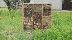 Nest boxes at SRUC, Elmwood Golf Course image #3