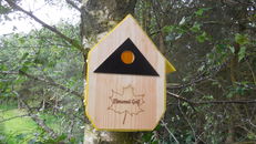 Nest boxes at SRUC, Elmwood Golf Course image #4