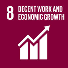 Goal 8 - Decent work and economic growth image #1