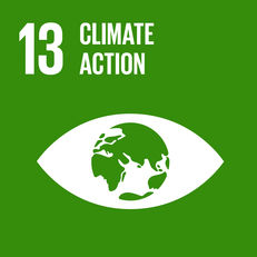 Goal 13 - Climate action  image #1