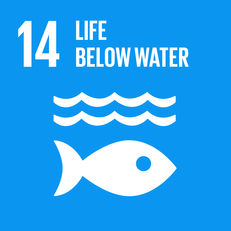 Goal 14 - Life below water image #1