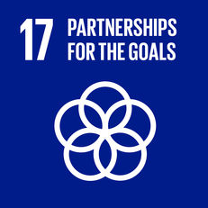 Goal 17 - Partnerships for the goals image #1