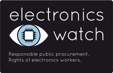 Sustainable Procurement and the SDGs with Electronics Watch Webinar image #1