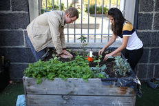 2019 Sustainability Institution of the Year Finalist: RMIT University, Australia image #6