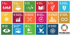 Six Years of SDGs - a report by Dr. Alexander Dill, Basel Institute of Commons and Economics image #1