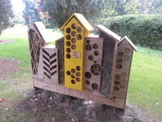 Oxford Brookes University - Bug Hotels image #1