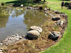 University of Wollongong, Australia - ponds and other wetlands image #5