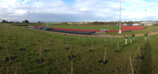 Edge Hill’s new Sports Centre development strives to enhance levels of biodiversity image #1