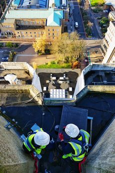 University of Leicester Swift and Peregrine Nest Box Project image #2