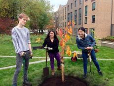 Manchester Metropolitan University - Birley Community Orchard image #2