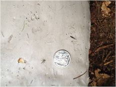 Creating change through surveying, University of Stirling image #3