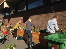 Manchester Metropolitan University - Lunchtime gardening sessions image #1