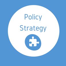 Policy Strategy image #1