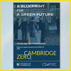 Green Recovery: A Blueprint for a Green Future image #1