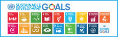 The Sustainable Development Goals (SDGs) in Higher and Further Education: What does this look like?  image #1