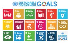 Embedding the SDGs in FHE - Education for Sustainable Development TSN with LfS Scotland image #3