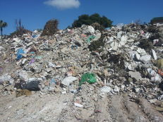 An image of a demolition site before it was transformed by students into gardens with trees.