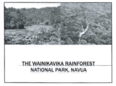 Photograph of part of the Wainikavika Forest to be considered for the project.