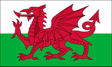 Supporting Wales (English version) image #1